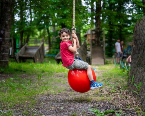 Zip-line and tree climbing for children in Ardèche