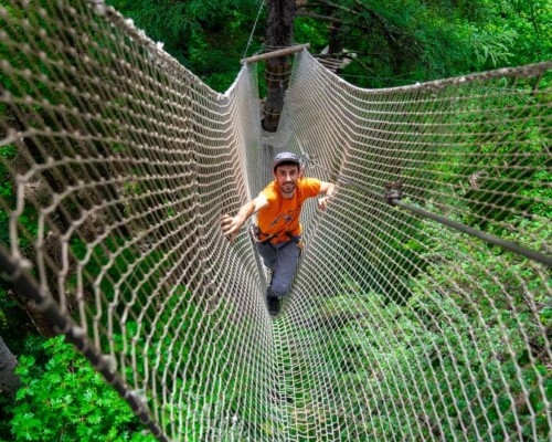 Tree-climbing and Giant Zipline in Ardèche Adventure Camp